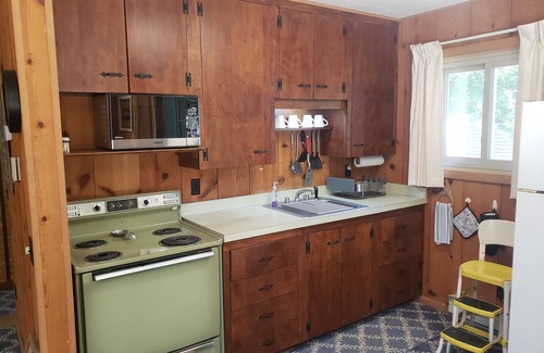 Canadian Lakes Cottage | NEW! Lake view and access Cozy Cabin!