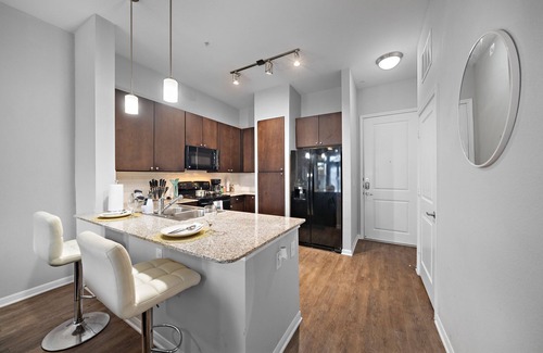 South Main Apartment | New Lake view King bed apartment by the NRG