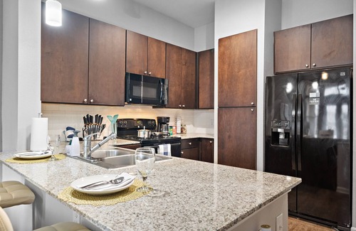 South Main Apartment | New Lake view King bed apartment by the NRG
