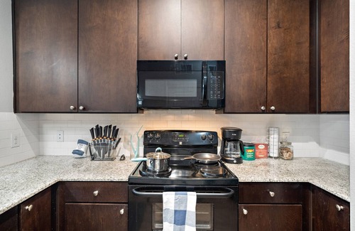 South Main Apartment | New Lake view King bed apartment by the NRG
