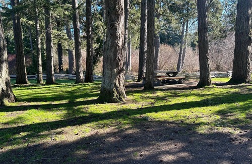 Langford Apartment | New Listing! Cozy one bedroom beach retreat with easy access to everything !