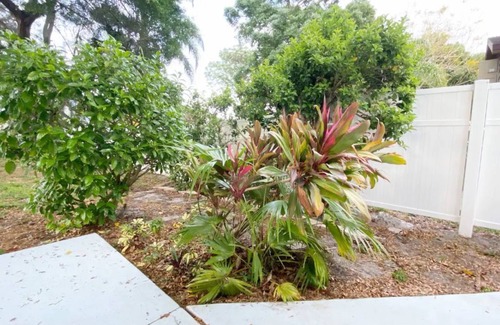 Alta Vista House | New Listing, Downtown 3 Bedroom Cottage