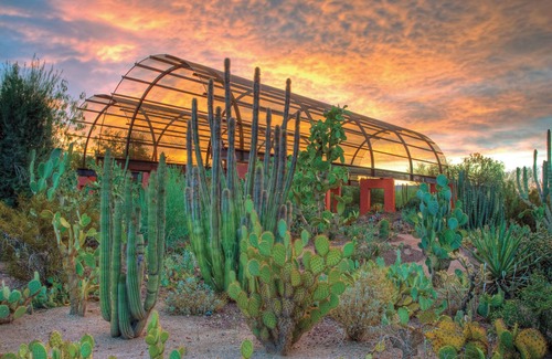Thunderbird Desert Estates Apartment | *New Listing* Itty Bitty Inn #4~Horse Friendly~BBQ
