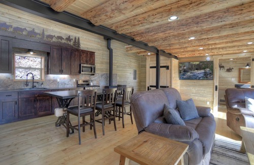 Creede Cabin | New Listing! Secluded Off-Grid Mountain Retreat-Pet-Friendly-National Forest