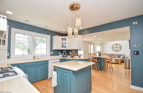 Ashtabula House | NEW LISTING! Stunning Disney-themed Lux House on the Lake!