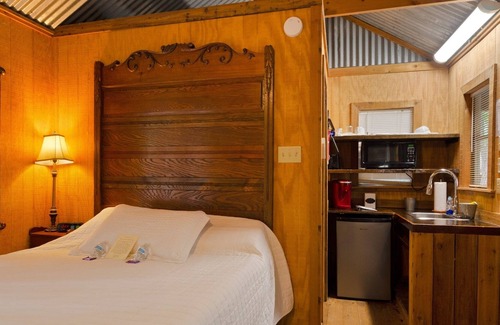 Tyler Cabin | NEW LISTING! The Happy Pine Cone (1-Bedroom Cabin) by RedAwning