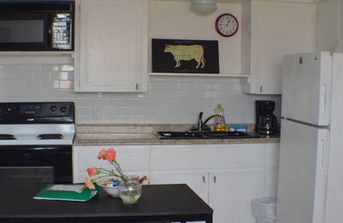 Johnston Terrace House | New Listing! Thrifty & Functional 2 BD near AUS and downtown