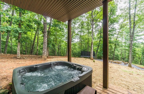 Dahlonega House | New Listing! Two Houses-Sleeps 20/Hot Tub/Fire Pit/Dog Friendly!