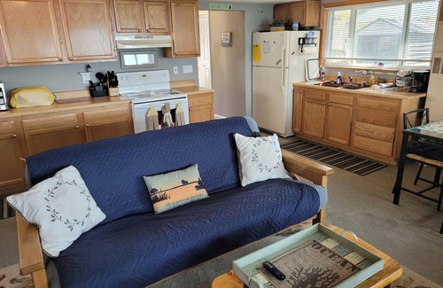 Oscoda Cottage | New! Loon Lodge - Super Cute, Lakefront, Bonfire Ring, and Private Dock!