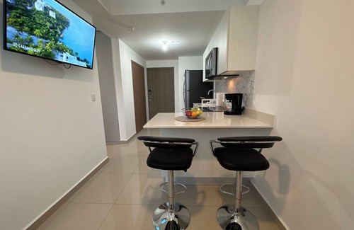 San Jose Apartment | New Luxury Apartment 12th Floor