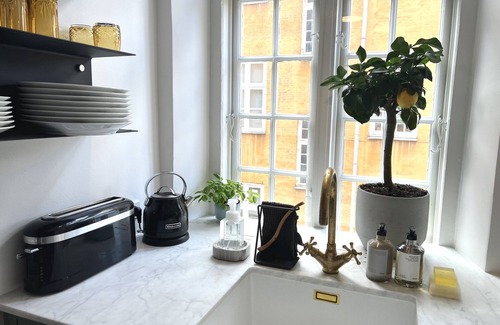 Copenhagen K Condo | NEW Luxury 'Kings Garden' 240m2 Prime Located Flat