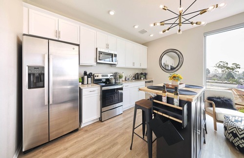 Normal Heights Apartment | NEW Organic Modern Luxury Oasis - Close to everything!