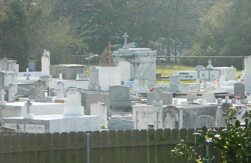 Mid-City House | New Orleans at your fingertips. Festivals, food and fun all year long.