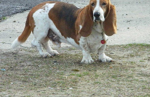 Mid-City House | New Orleans at your fingertips. Festivals, food and fun all year long.