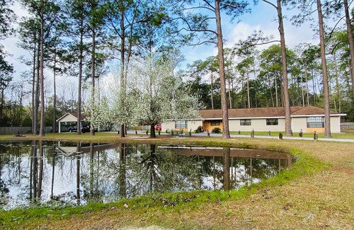 Lacombe Apartment | New Orleans Northshore 40 minutes from New Orleans . Safe and peaceful