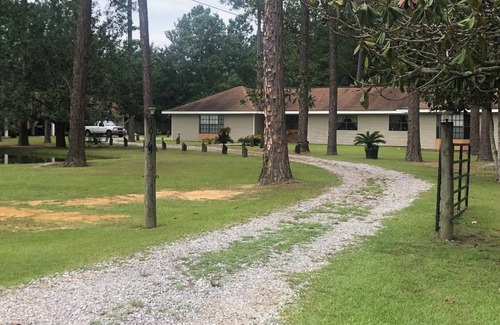 Lacombe Apartment | New Orleans Northshore 40 minutes from New Orleans . Safe and peaceful