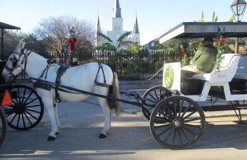 Arabi Apartment | New Orleans Patio Apartment, 3.5 miles to the French Quarter