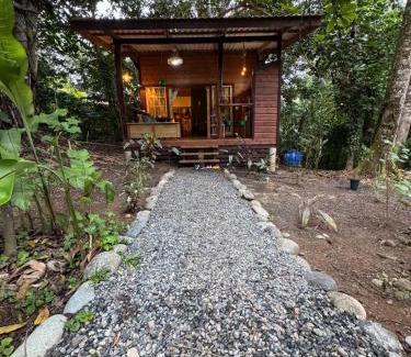 Big Creek House | New Premium Jungle Cabin