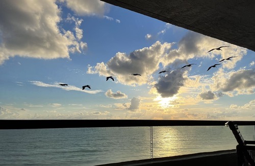 New Smyrna Beach Condo | #New Smyrna Beach #Pet Friendly Luxury Spacious #Oceanfront Condo