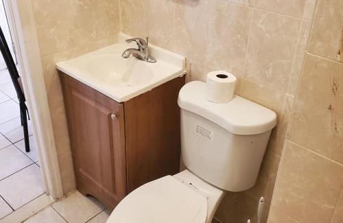 Mott Haven Apartment | New Studio apartments Available Now!