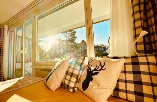 Oerlikon Apartment | New Studio with Sunny Terrace & Air Condition