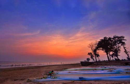 Tajpur Resort | New Surya Kutir Resort
