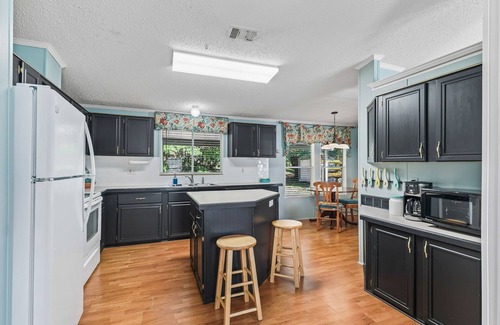 Dunnellon House | NEW! The Blue Heron Hideaway- cute & cozy 3 bed/2 bath with Rainbow River access