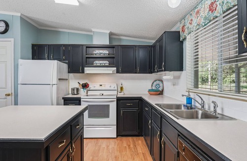 Dunnellon House | NEW! The Blue Heron Hideaway- cute & cozy 3 bed/2 bath with Rainbow River access