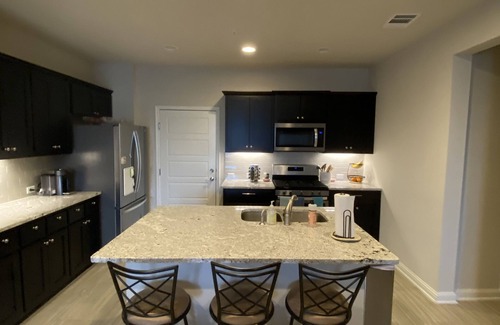Montopolis House | New townhouse - fully furnished