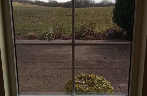 Blankensee House | NEW! Vacation home Seeblick in Blankensee