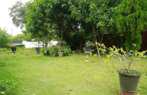 Mahasenpura Bed & Breakfast | New Vilard