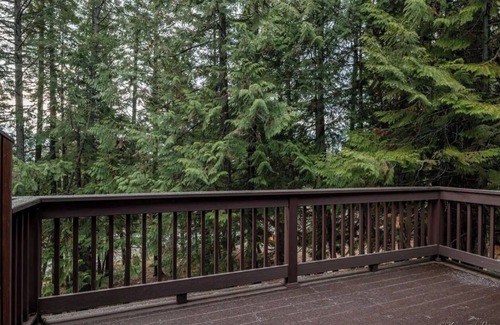 Whitefish Cabin | NEW Whitefish Mountain Cabin