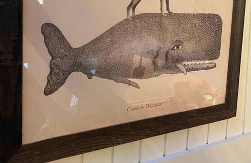 Country Club Estates House | New! Wow! Classic, bright Lakehouse with separate living spaces, 1 min to beach