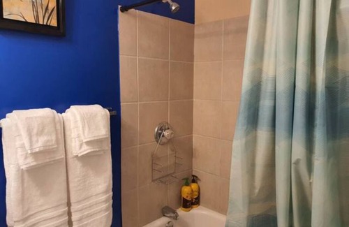 Lamar Heights Area House | Newland Comfortable Roomy Home 5 bedrooms, 2 bath