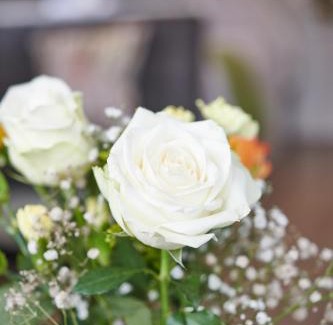 Natland House | Newlands Farm Stables