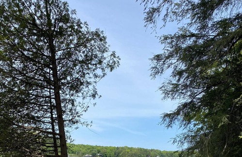 Seguin Cottage | Newly built 6 bedroom cottage on Lake Joseph