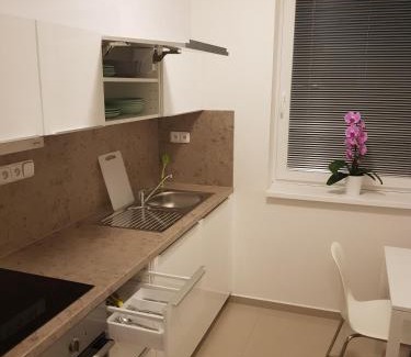 Bystrc Apartment | NEWLY BUILT APARTMENT 5 WITH BALCONY NEAR CENTER