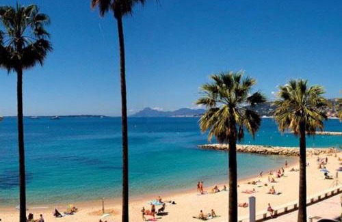 Antibes Apartment | Newly Built Apartment with Pool, Walk to the Beach