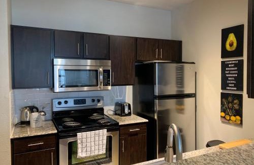 Riverside Terrace Apartment | Newly Furnished 1BR Apartment w/Hermann Park View