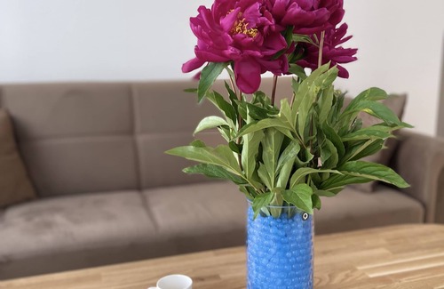 Old Town Apartment | Newly furnished apartment in the Old Town of Kaunas