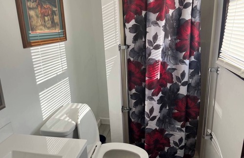 Colt House | Newly remodeled 3bd 2bath spacious home