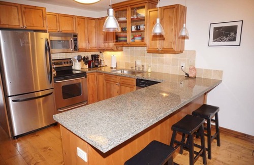 Aspen Condo | Newly Remodeled Condo - Comfort and Convenience (203060-4277)