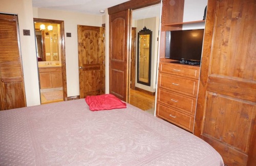 Aspen Condo | Newly Remodeled Condo - Comfort and Convenience (203060-4277)