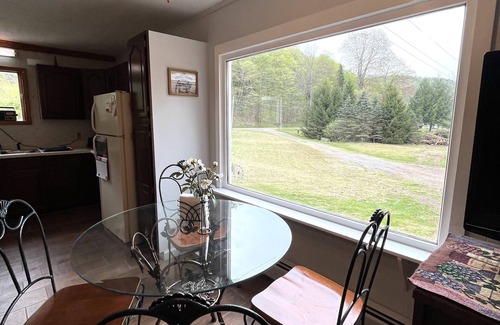 Austin House | Newly Remodeled home with Class A Trout Stream