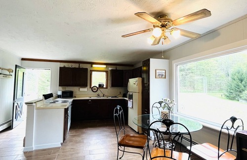 Austin House | Newly Remodeled home with Class A Trout Stream