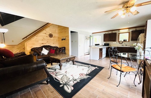 Austin House | Newly Remodeled home with Class A Trout Stream
