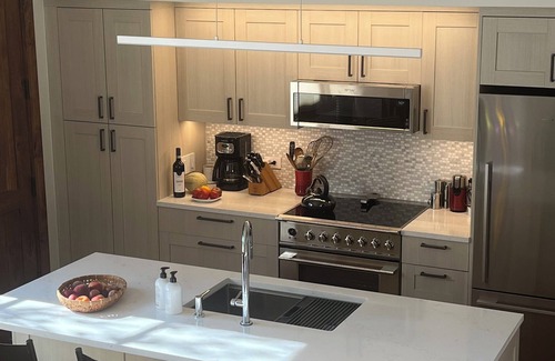 West End Condo | Newly Remodeled Mountain Contemporary 1 BR + Loft Aspen Condo