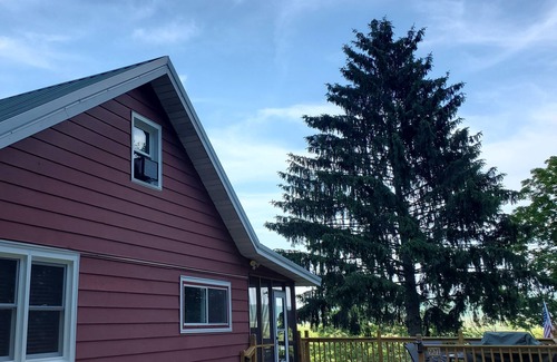 Brownsville Cabin | Newly remodeled, multifunctional, secluded retreat w/views of Mississippi River