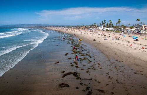 Ocean Beach Apartment | Newly Renovated 3BR Modern Apt in Heart of Ocean Beach