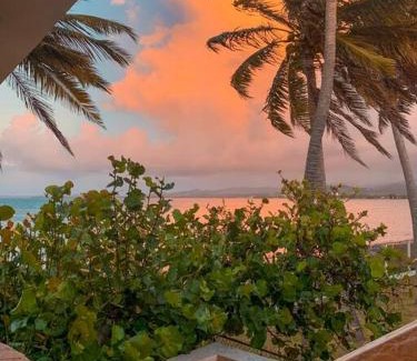 Zarzal Villa | Newly Renovated 8 Bedroom Ocean Front Villa with Pool